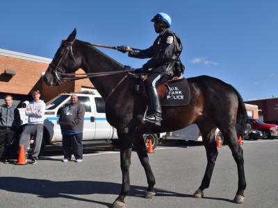 Office riding on a parks police horse